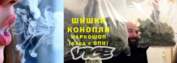 ГАЛЛЮЦИНОГЕННЫЕ ГРИБЫ Дмитриев