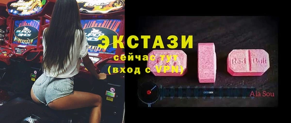 ГАЛЛЮЦИНОГЕННЫЕ ГРИБЫ Дмитриев