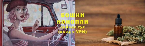 индика Сосновый Бор
