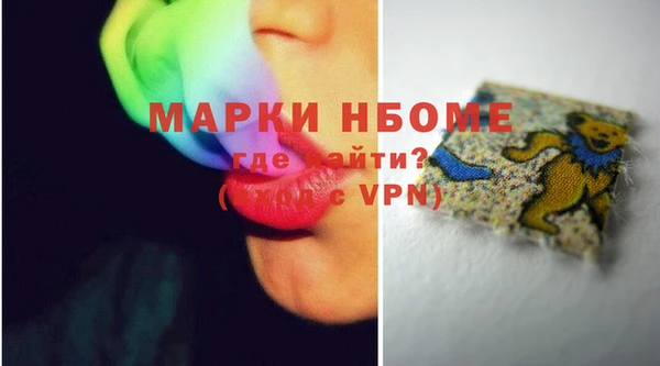 ГАЛЛЮЦИНОГЕННЫЕ ГРИБЫ Дмитриев