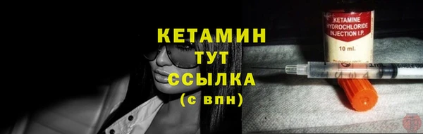 ГАЛЛЮЦИНОГЕННЫЕ ГРИБЫ Дмитриев