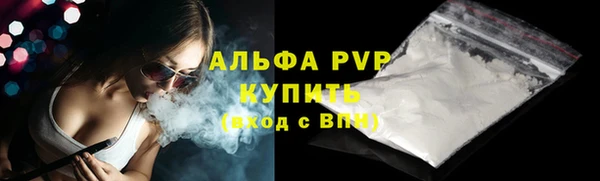 эйфоретик Гусев