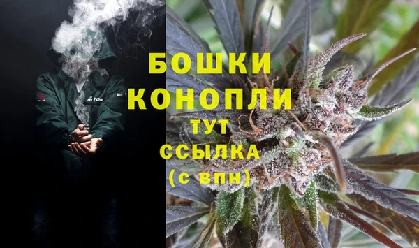 эйфоретик Гусев