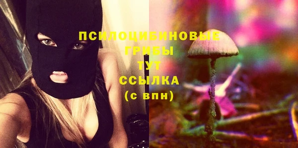 синтетический гашиш Дмитровск