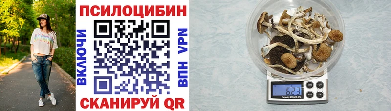 Псилоцибиновые грибы Magic Shrooms  где найти   darknet какой сайт  Новочебоксарск 
